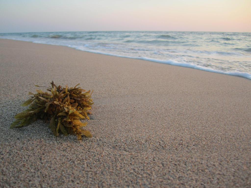 Lanta Il Mare Beach Resort Ko Lanta Eksteriør billede